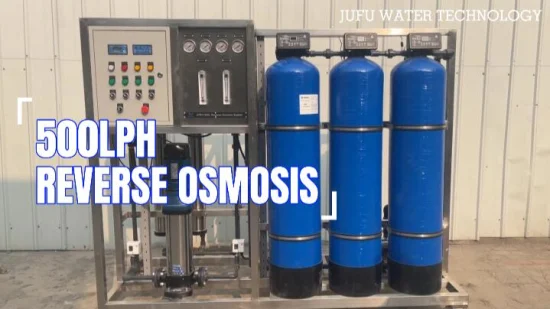 500lph Industrial RO Plant Reverse Osmosis Water Filter Machine